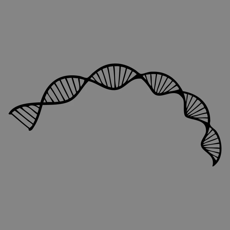 DNA double helix structure cell sequence