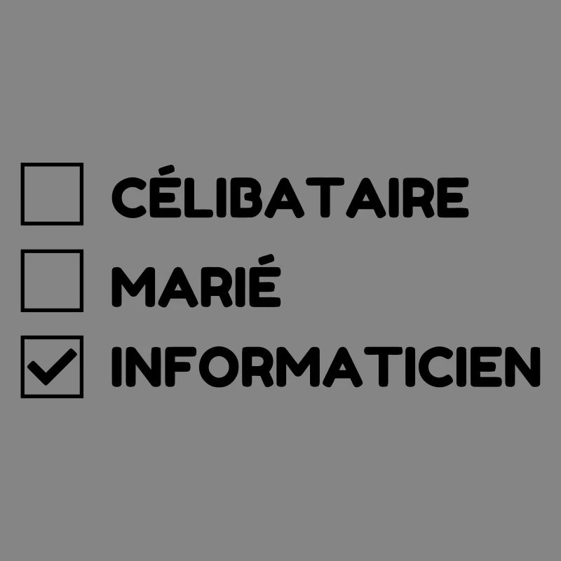 Computer Engineer Informatiker Informaticien