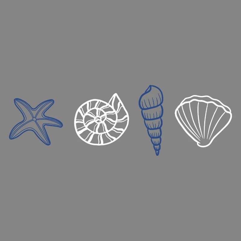 Shells - marine animal
