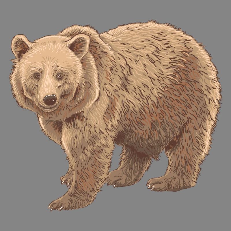 Kodiakbear