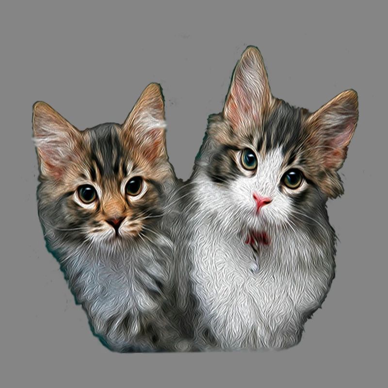 Chatons