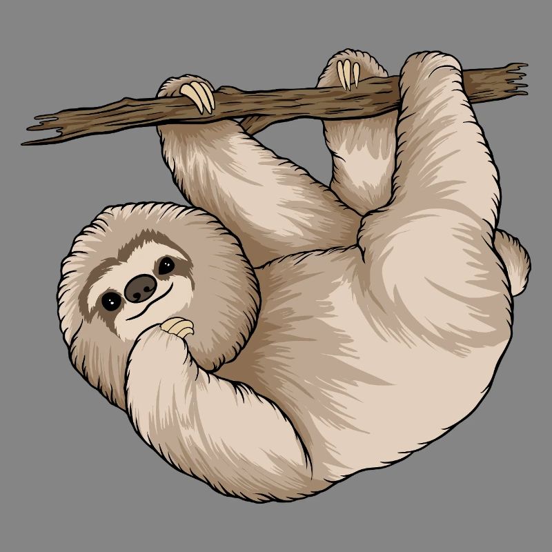 Charming Sloth Hugging Branch 