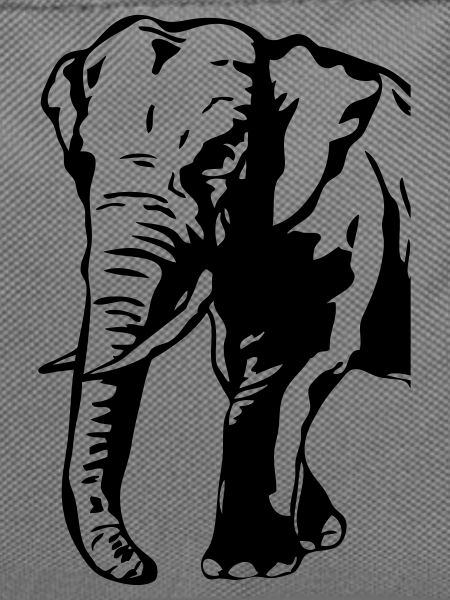 Elephant - Africa