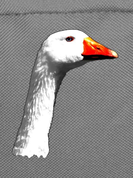 Gans