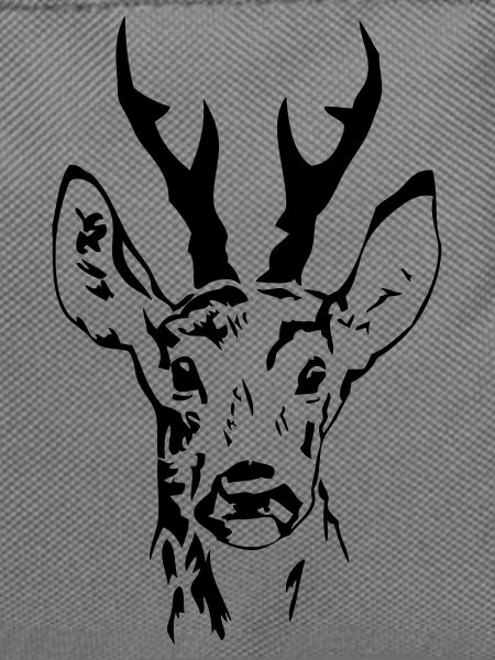 Rehbock - Hirsch - Deer