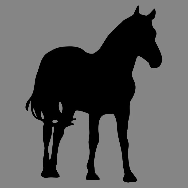 Pferd