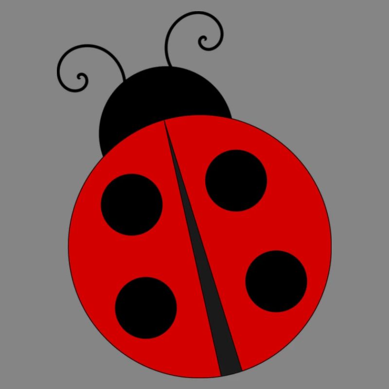 ladybug