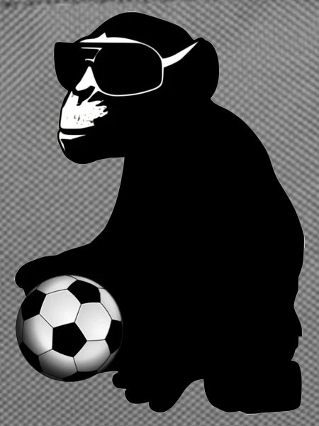 soccer monkey