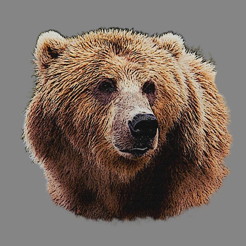 Bear Lover T-Shirts, Bear Head Night Pattern
