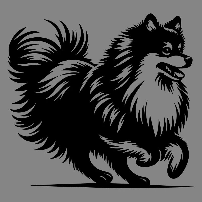 Spitz
