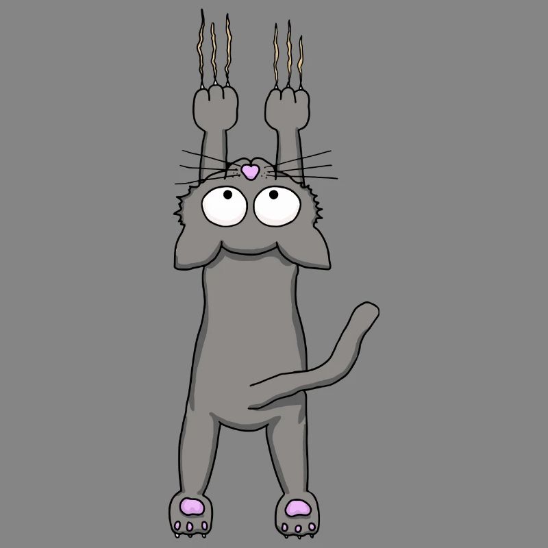 Gray cat