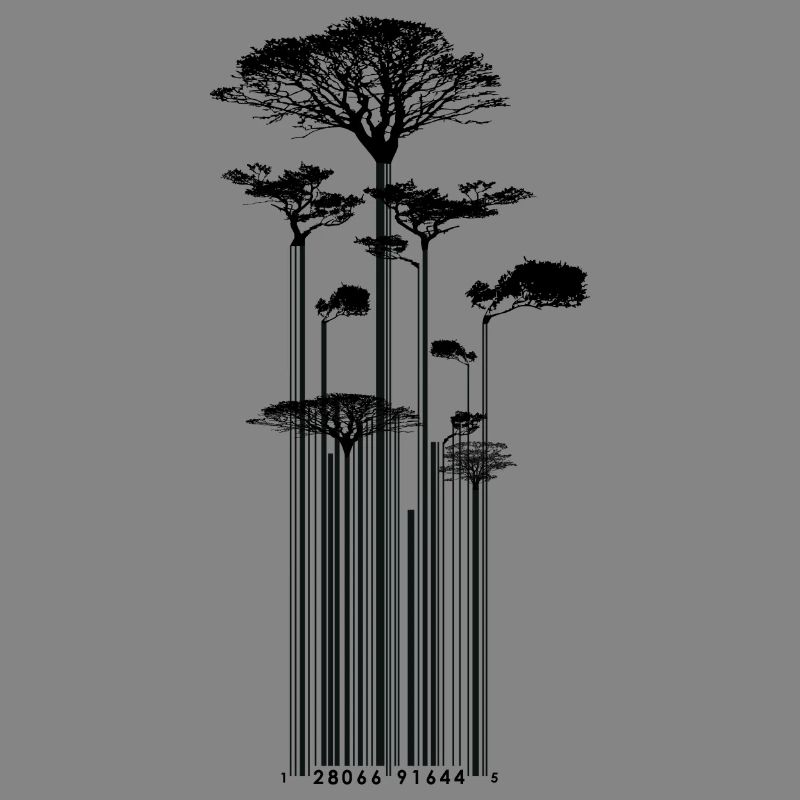 CODE BARRE - Arbre - conso