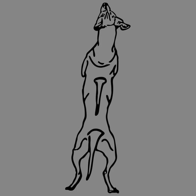 Ridgeback back