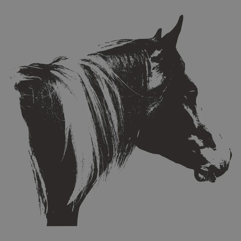 Lewitzer Schecke, Pferd Schecke, Pinto