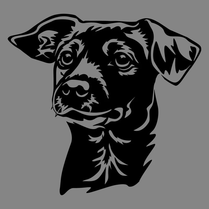 Jack Russell Terrier Kopf