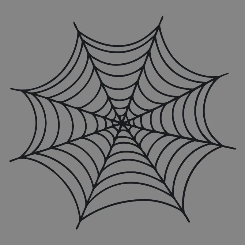 Black Minimalist Spider Web