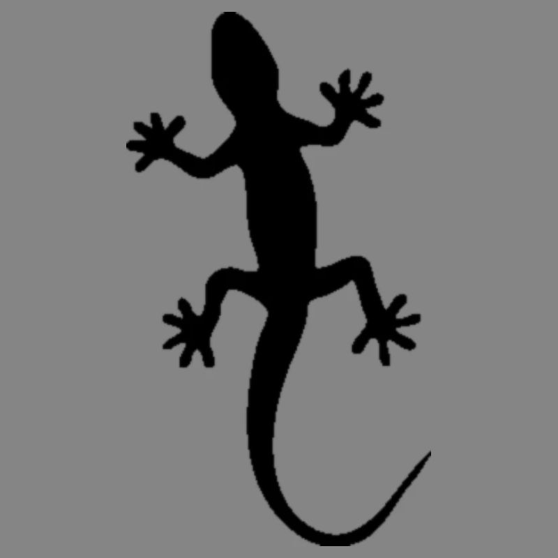 Gecko