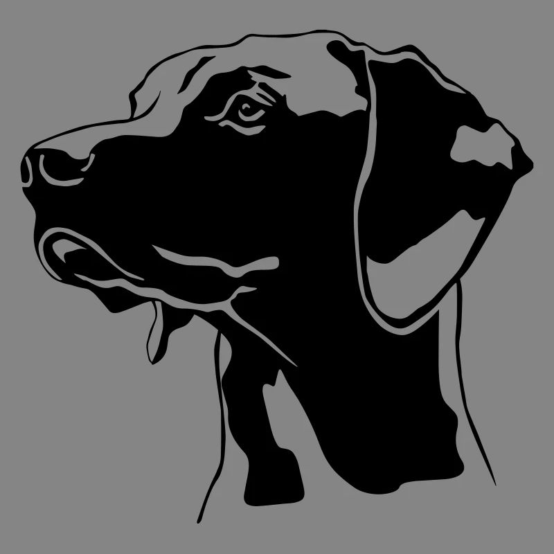 Magyar Vizsla head
