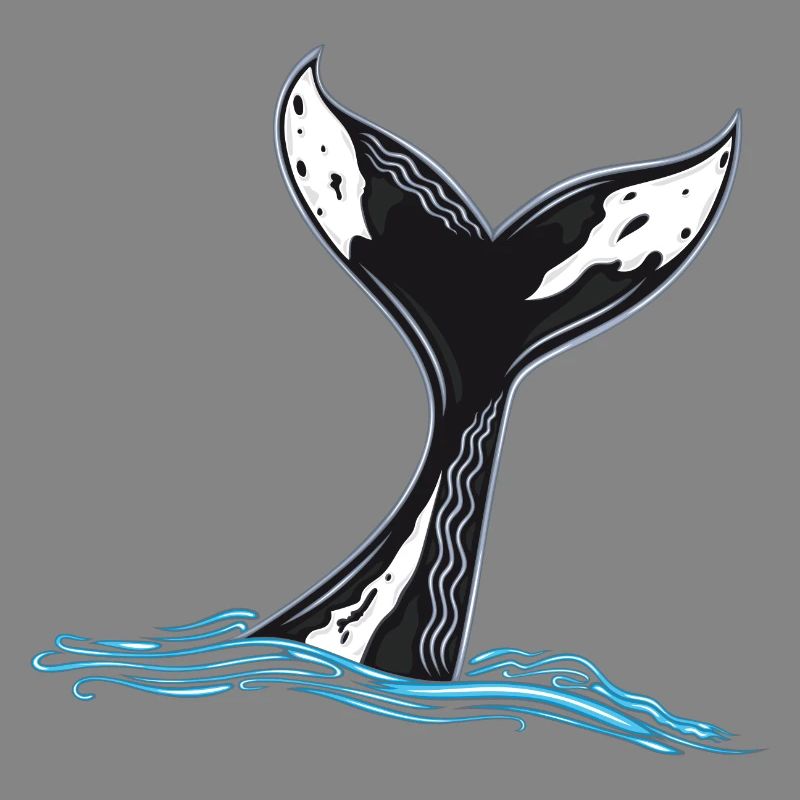 Whale Fin Whale Fin