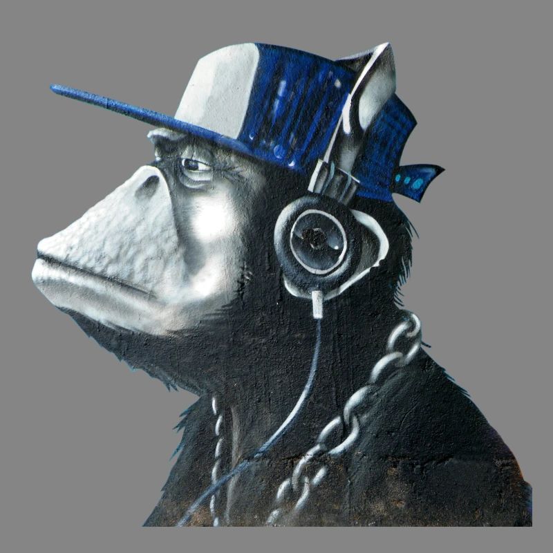 Monkey graffiti by CustomStyle
