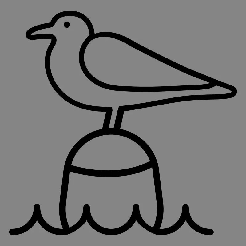 Möwe Moin