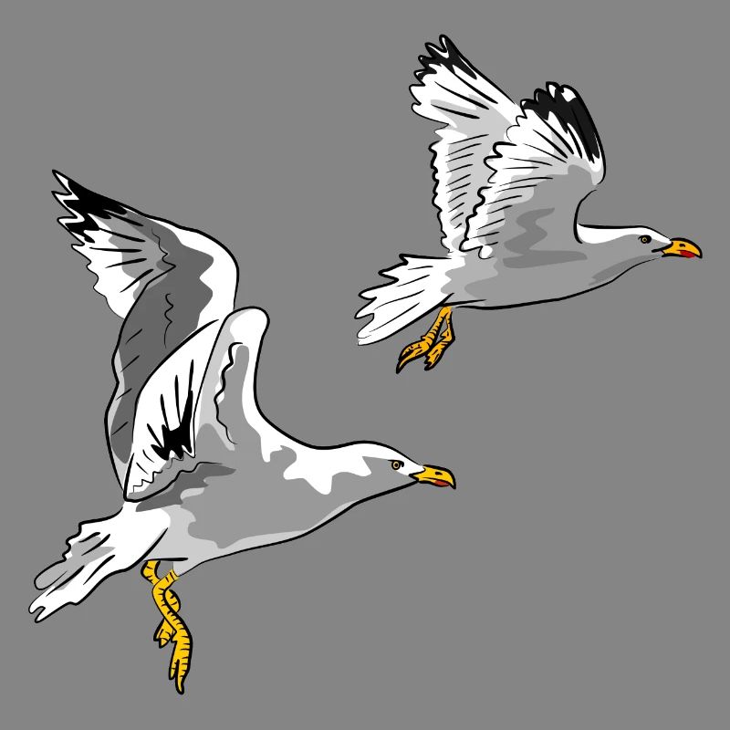 Möwen im Flug Design