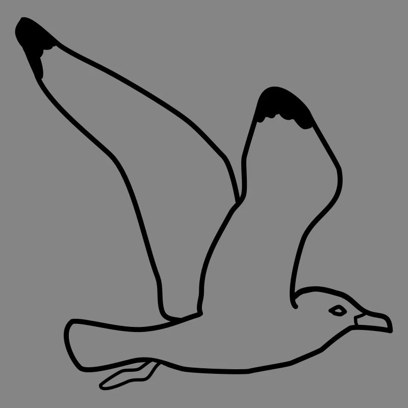 fliegende moewe vogel urlaub