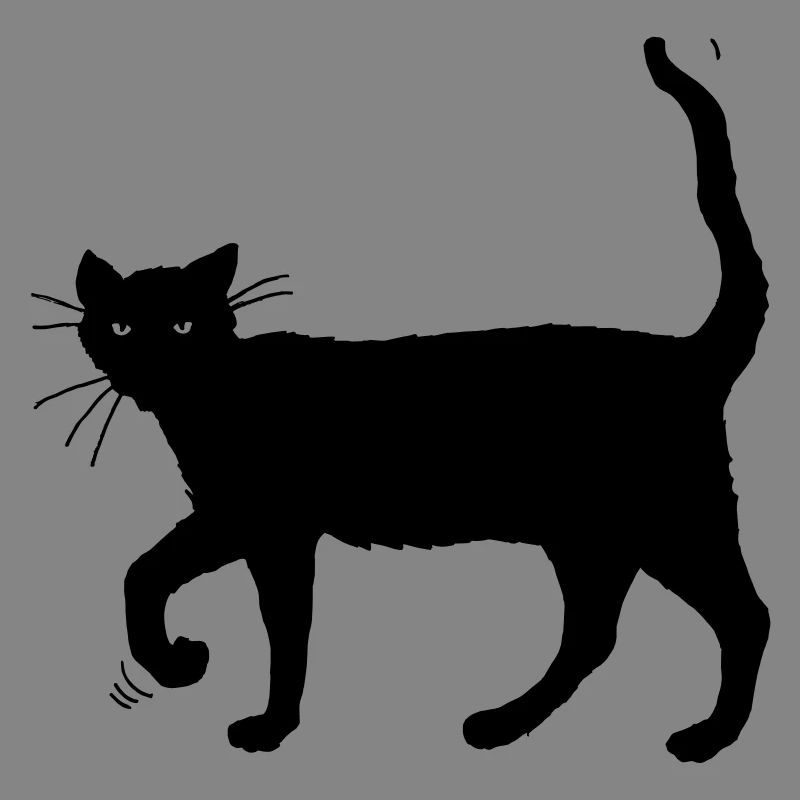 Black cat