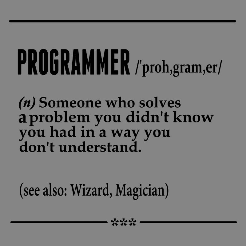 Programmer Noun
