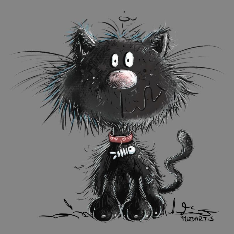 Droll Black Cat