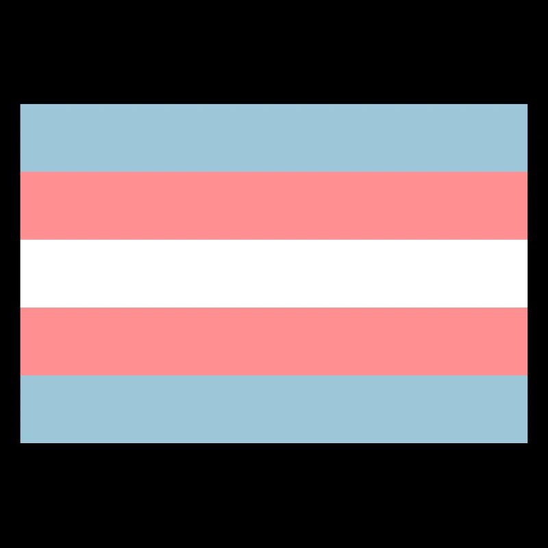 Transgender-Pride-Flag.