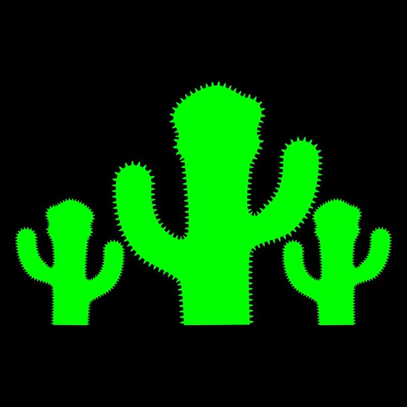 3 Cacti Cactus Prickly Desert Stinger Plants