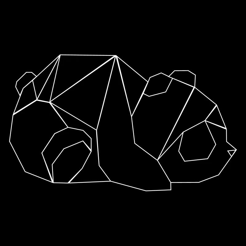 Geometrie Panda