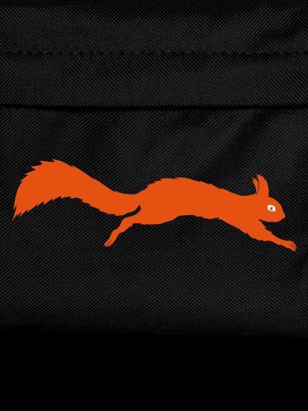 Eichhörnchen springt