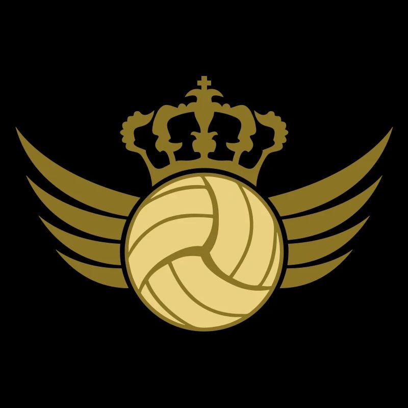 Volleyball Blazon Design
