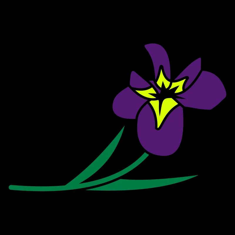Blumen: Iris