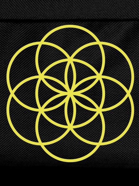 Flower of Life - beginning