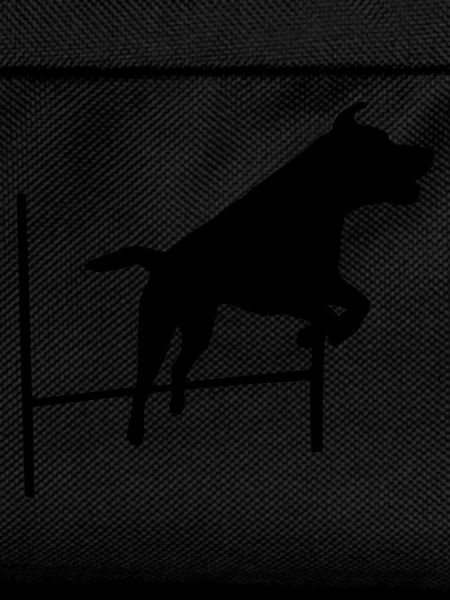 Agility