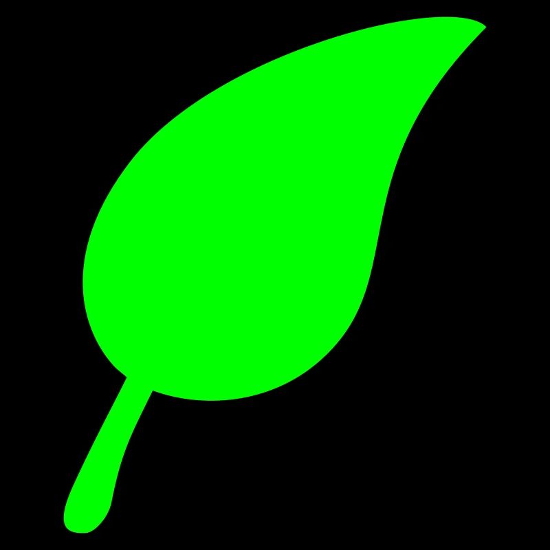 Green Beautiful Leaf Eco Spring Summer Nature