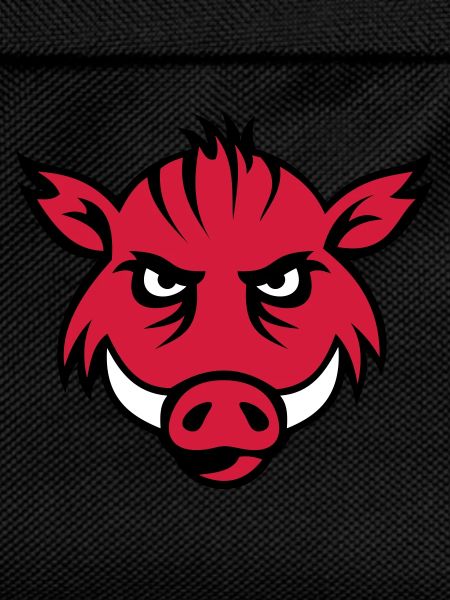 boar face 3c