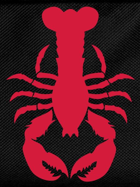 lobster crustacean fish clamp