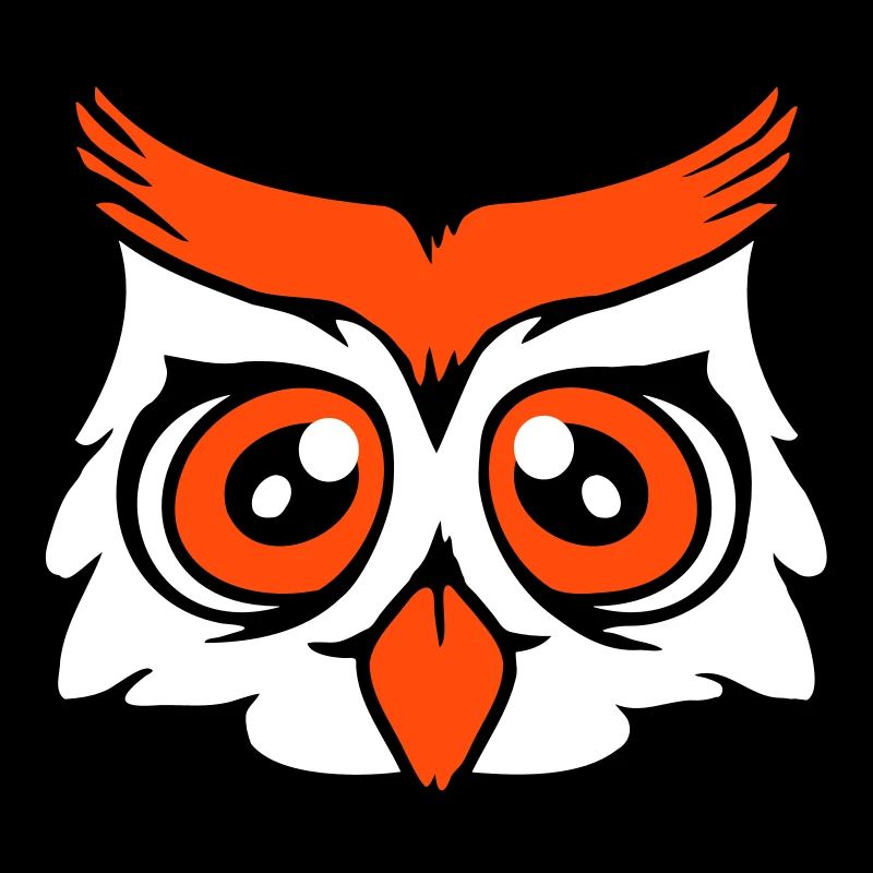 Eule Vogel Uhu Nachtvogel Schleiereule Kauz Comic