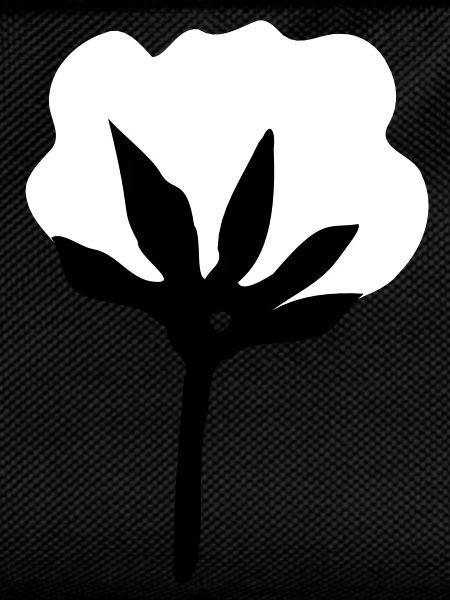 cotton