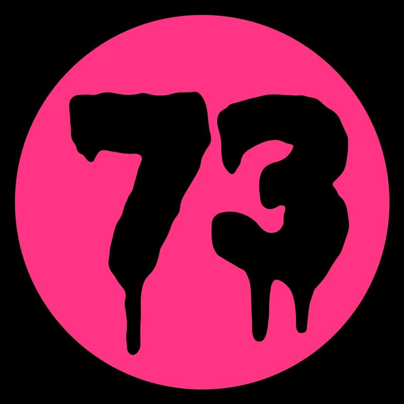 Number 73
