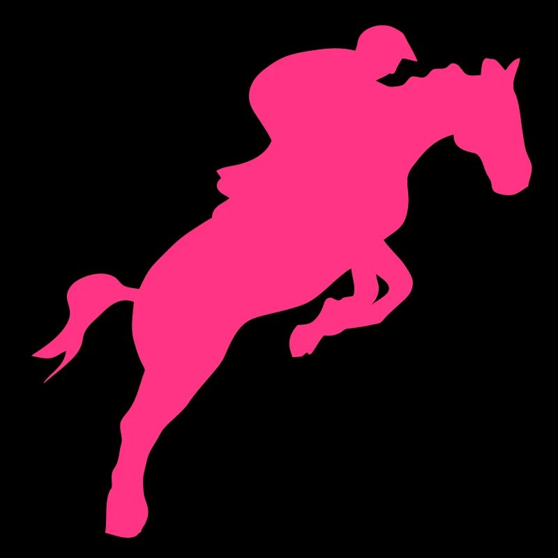 equitation cavalier11 obstacle cheval sa