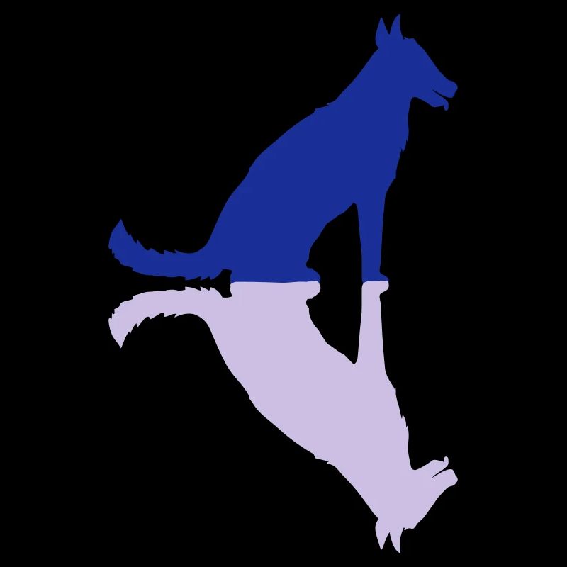 Dog Mirrored Shadow Reflection