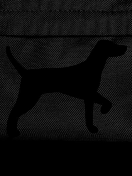 Hunting dog