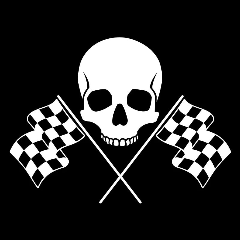 Skull Checkered Flags