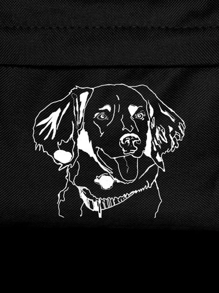 Münsterländer
