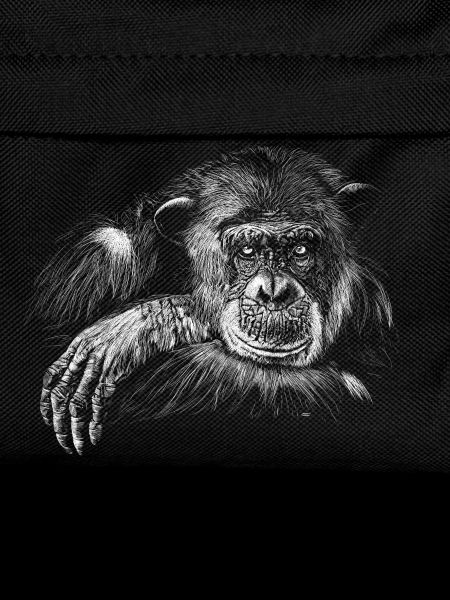 Singe